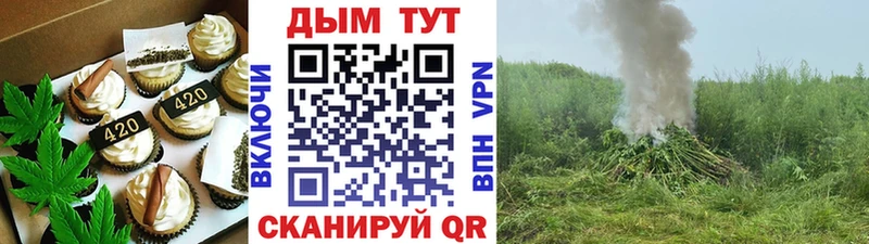 где можно купить наркотик Новошахтинск Еда ТГК конопля