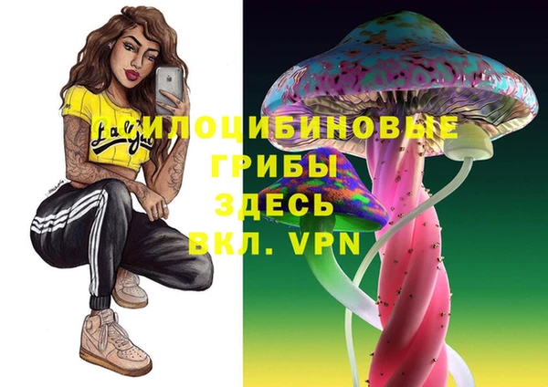 соль ск Магадан